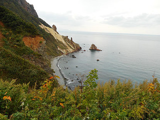 DSCN0403.jpg
