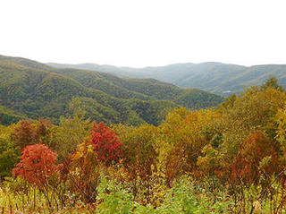 DSCN0670.jpg